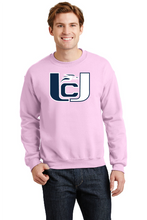 Load image into Gallery viewer, UC Soaring Eagles Blue/White Long Sleeve T-shirt
